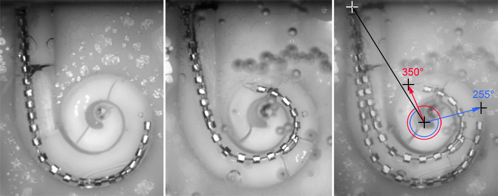 Picture showing Hybrid-M prototype inside artificial cochlear model
