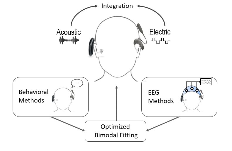 Schematic Drawing of Bimofus Project